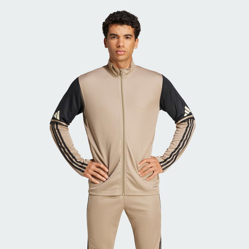 Verryttelypuku adidas Performance Squadra 25 Training Jacket Beige | JP3391