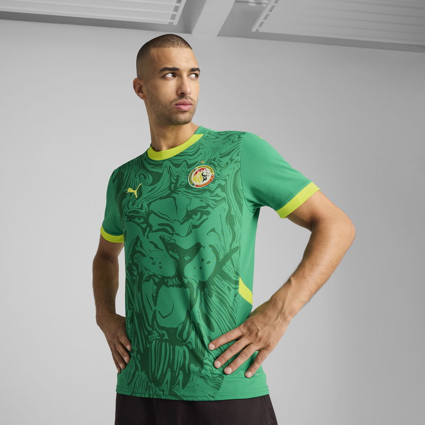 T-paita Puma Senegal 2025 Away Replica Jersey Vihreä | 777166_03