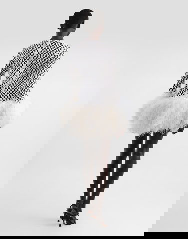 Mekko Dolce & Gabbana Dolce & Gabbana Short Sequin Mesh Feather Trim Dress Valkoinen | F60FCZFLSLDW0800, 2