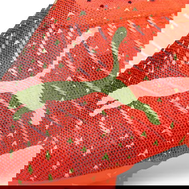Tennarit ja kengät Puma FUTURE 1.4 FG/AG Punainen | 106989_03, 10