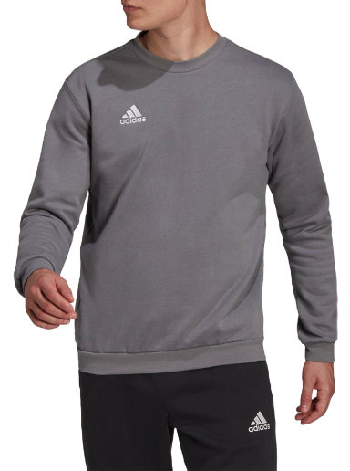 Huppari adidas Originals Sweatshirt Entrada 22 Harmaa | h57479