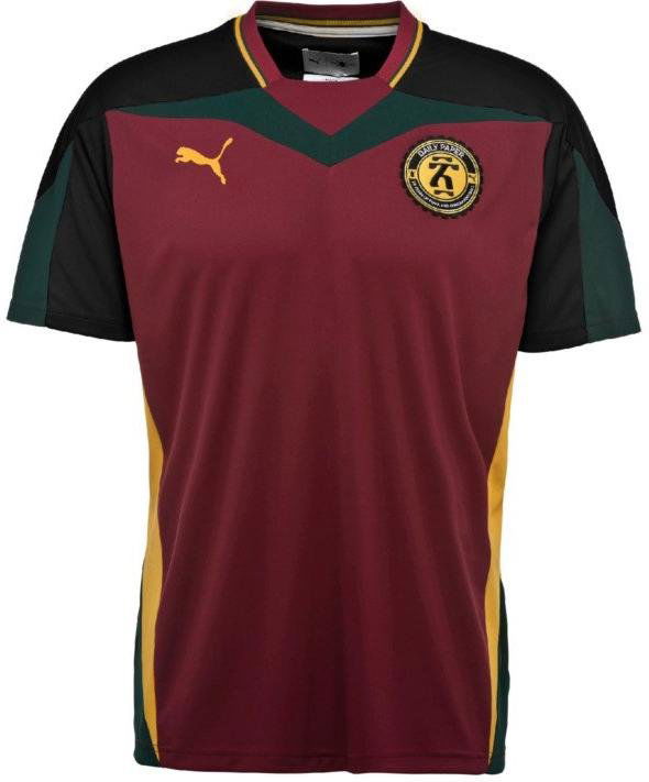 T-paita Puma Daily Paper x Tee Burgundia | 574170-095