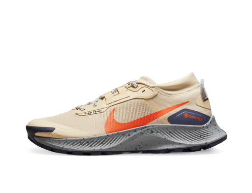 Juoksu Nike Pegasus Trail 3 GTX Ruskea | dc8793-200