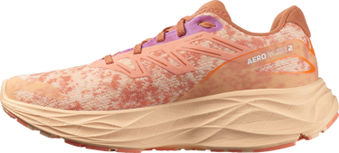 Tennarit ja kengät Salomon AERO GLIDE 2 W Beige | l47426600, 3