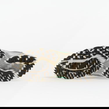 Tennarit ja kengät Mizuno Wave Rider 10 Harmaa | D1GA247107, 1