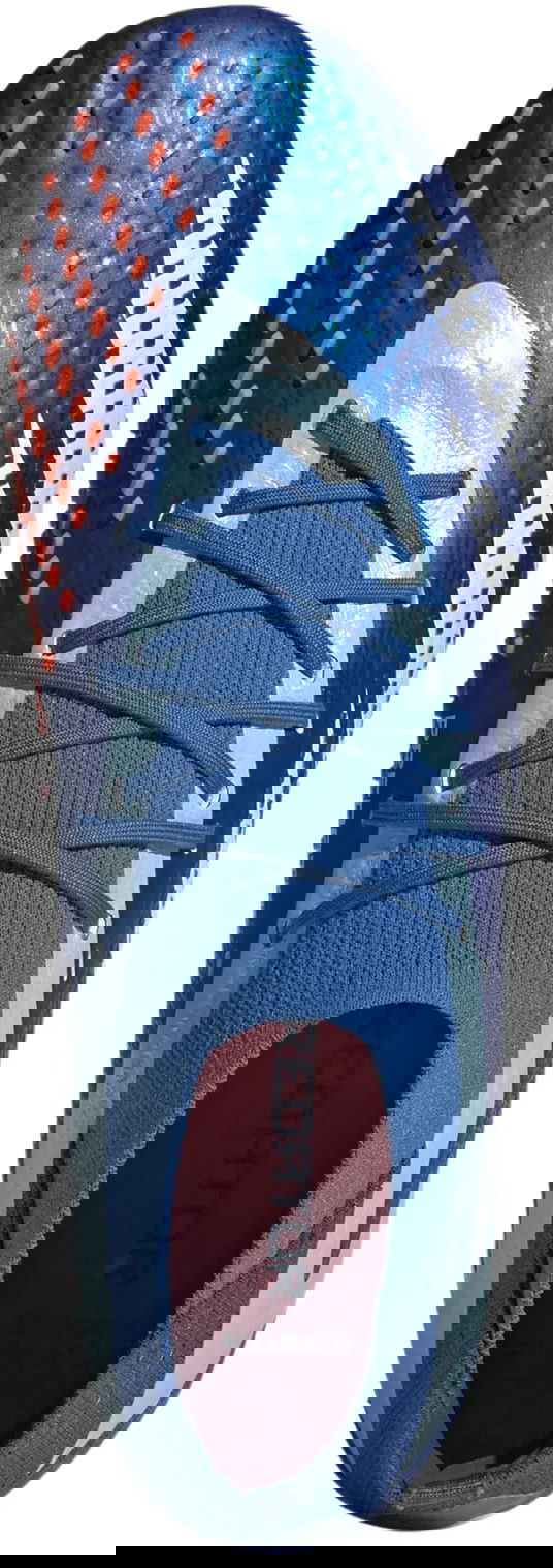 Tennarit ja kengät adidas Performance Predator Accuracy.1 FG Sininen | gz0038, 1