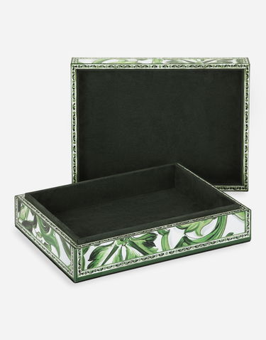 Kodin sisustus Dolce & Gabbana Dolce & Gabbana Large Majolica Print Decorative Plexiglass Box Vihreä | TCC201TCAMYUV008, 3