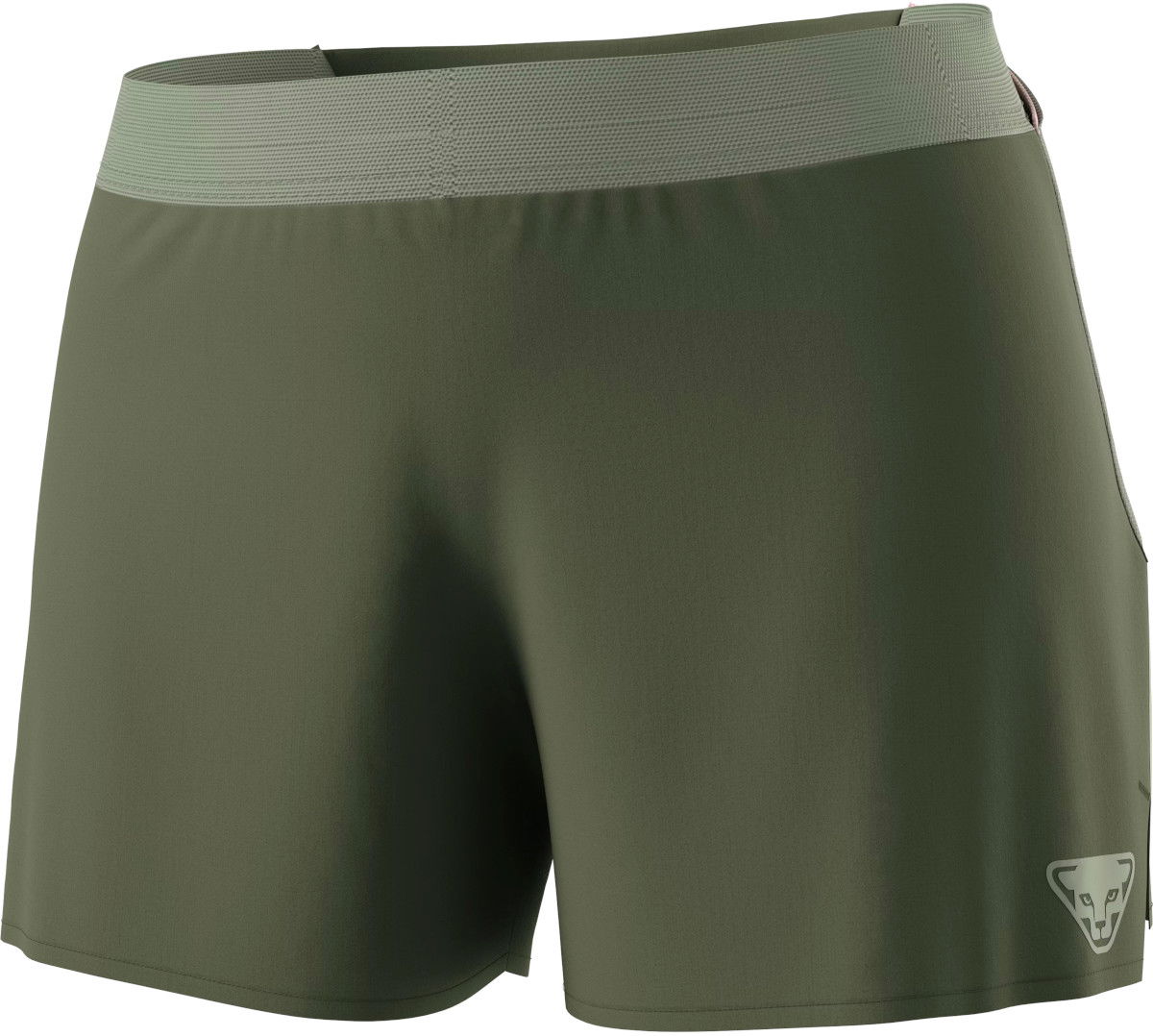 Shortsit Dynafit SKY Shorts Vihreä | 08-0000071654-5561, 1