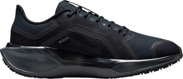 Tennarit ja kengät Nike Pegasus 41 GORE-TEX Musta | fq1357-001, 3