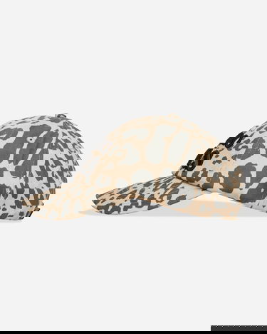 Korkki Aries Aries Leopard Print Baseball Cap Beige | AR9000604 Beige, 3