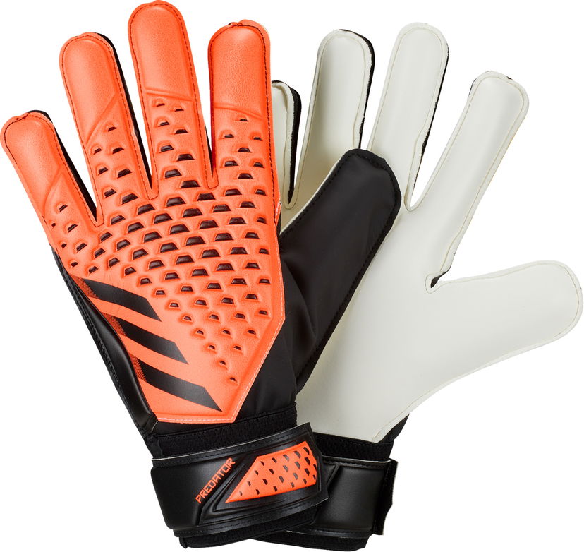 Käsineet adidas Originals Predator Goalkeeper Training Gloves Monivärinen | hn5585