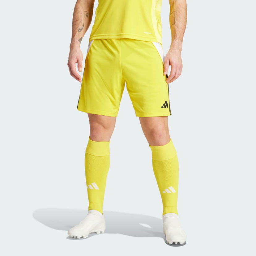 Shortsit adidas Performance Tiro 24 Keltainen | IS1409
