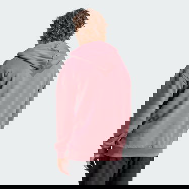 Huppari adidas Performance adidas TERREX Mikina Organiser Logo Violetti | IN4715, 2