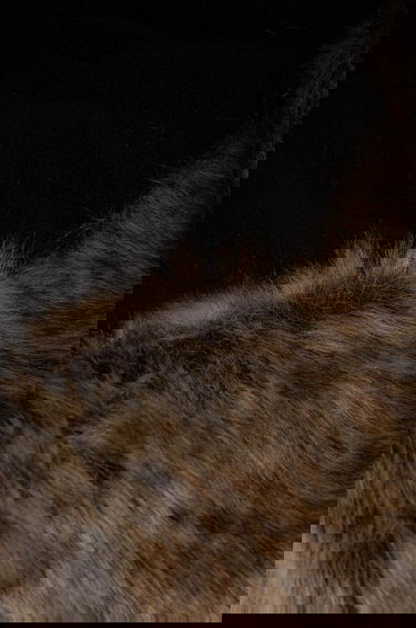 Hattu Barbour Barbour Trapper Hat Musta | MHA0711, 3