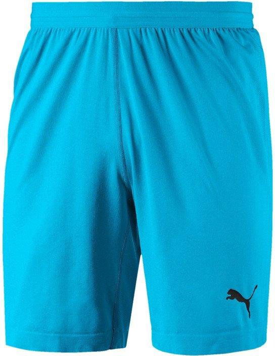 Shortsit Puma FINAL evoKNIT GK Shorts Turkoosi | 70345508, 0