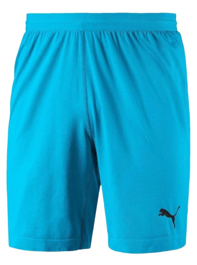 Shortsit Puma FINAL evoKNIT GK Shorts Turkoosi | 70345508