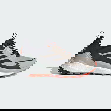 Tennarit ja kengät adidas Performance Terrex Free Hiker 2.0 Low GORE-TEX Beige | IG5459, 1