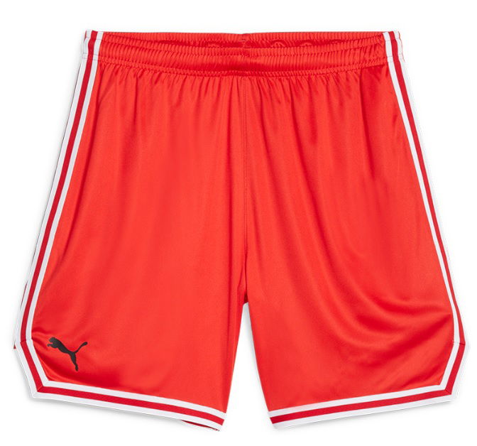 Shortsit Puma Hoops Team Game Short Punainen | 676629-04