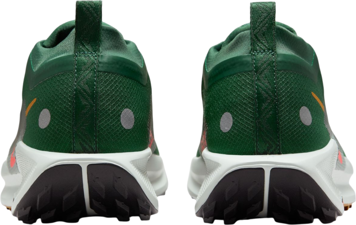 Tennarit ja kengät Nike Pegasus Trail 5 GORE-TEX Vihreä | fq0908-301, 1