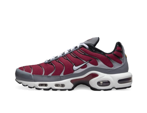 Lifestyle Nike Air Max Plus M Monivärinen | DQ3983-600