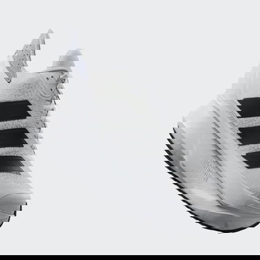 Tennarit ja kengät adidas Performance Duramo SL 2 Valkoinen | IH8215, 2