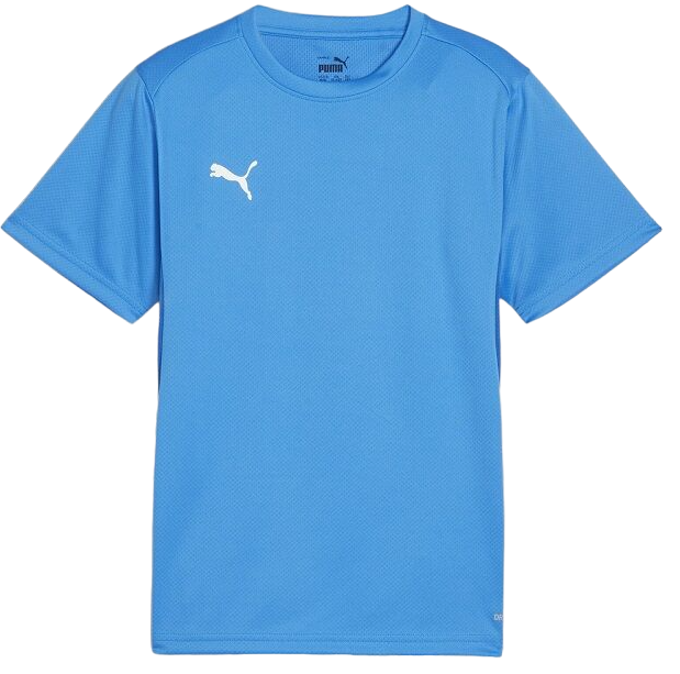 T-paita Puma teamGOAL T-Shirt Turkoosi | 658636-02, 0