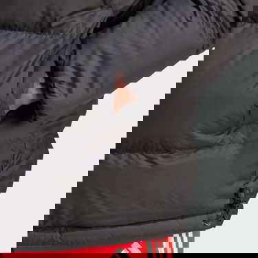 Takki adidas Performance FC Bayern DNA Down Jacket Punainen | HY3286, 5