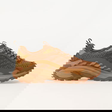 Tennarit ja kengät Merrell 1TRL Moab Speed 2 Gtx Bl Se Spice Ruskea | J006653, 2