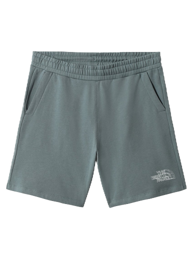 Shortsit The North Face Coordinates Shorts Harmaa | NF0A7R58A9L