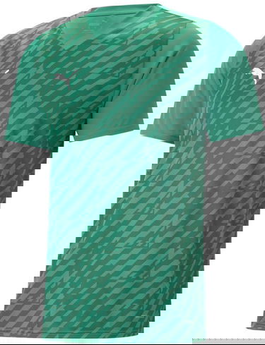 Jersey Puma teamULTIMATE Jersey Vihreä | 705371-005, 0