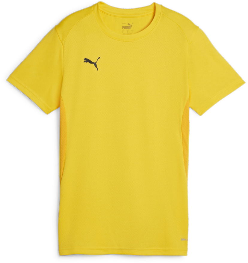 Jersey Puma teamGOAL Jersey Keltainen | 658638-07