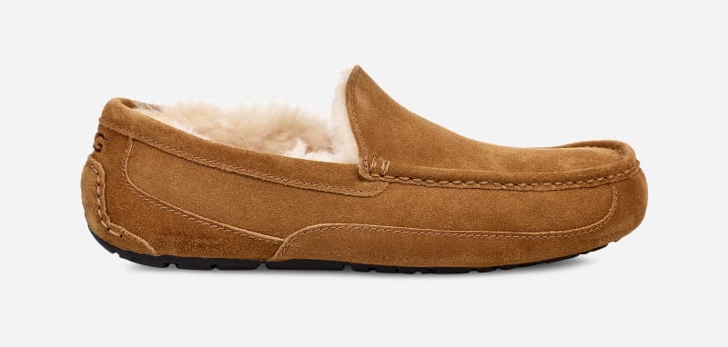 Tennarit ja kengät UGG ® Ascot Slipper in Brown, Size 10, Leather Ruskea | 1101110W-CHE