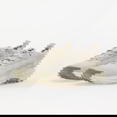 Tennarit ja kengät Nike Pegasus Trail 5 Gore-Tex Beige | FQ0912-006, 5