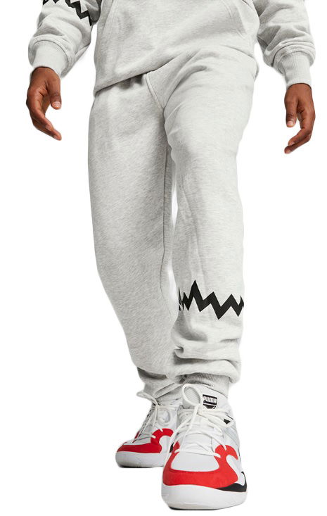 Verryttelyhousut Puma Hoops Team Sweat Pant Harmaa | 676649-03
