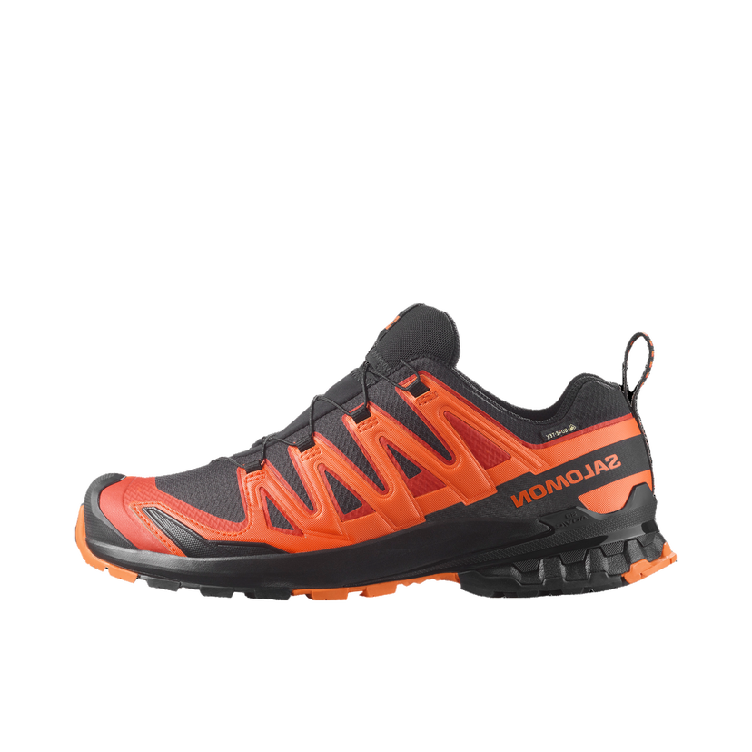 Tennarit ja kengät Salomon Salomon XA PRO 3D V9 GTX Oranssi | l47961000