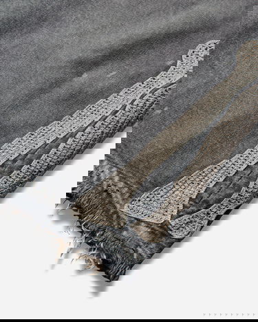 Shortsit KAPITAL 14oz Denim 5P Shorts with Bone Applique Harmaa | EK-1449SPA PRO, 3