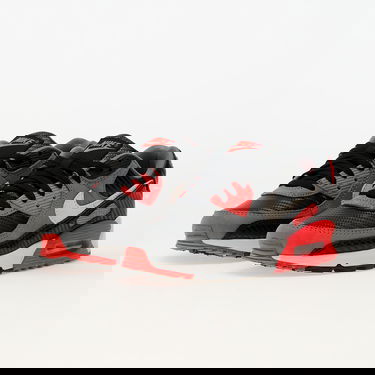 Tennarit ja kengät Nike Air Max 90 Prm Harmaa | HM9432-001, 5