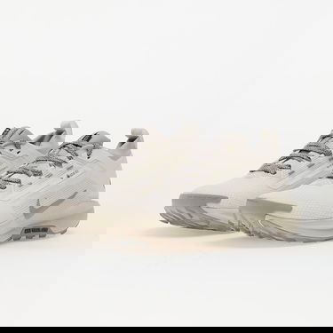 Tennarit ja kengät Nike Pegasus Trail 5 Gore-Tex Beige | HQ7494-100, 5