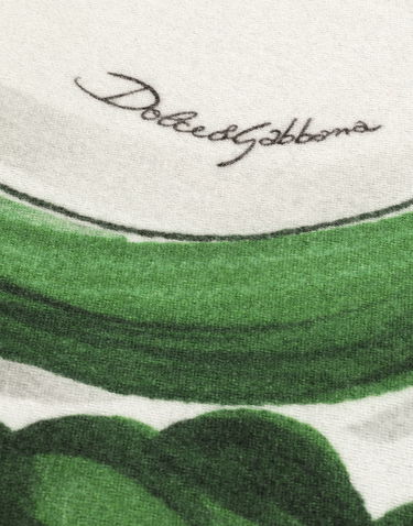 Kodin sisustus Dolce & Gabbana Dolce & Gabbana Silk And Wool Floral Scroll Blanket Vihreä | TCE012TCAB6UV013, 2
