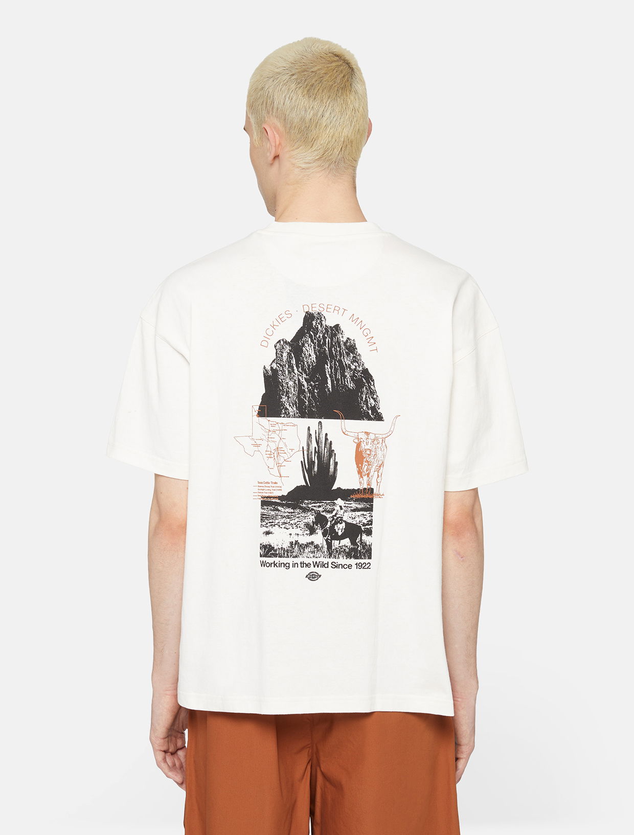 T-paita Dickies Pearisburg T-Shirt Valkoinen | 0A4YRK, 0