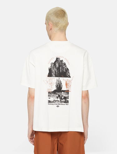 T-paita Dickies Pearisburg T-Shirt Valkoinen | 0A4YRK, 0