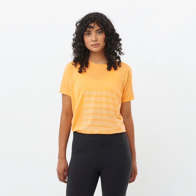 T-paita Salomon Aero Graphic T-Shirt Oranssi | LC2696800