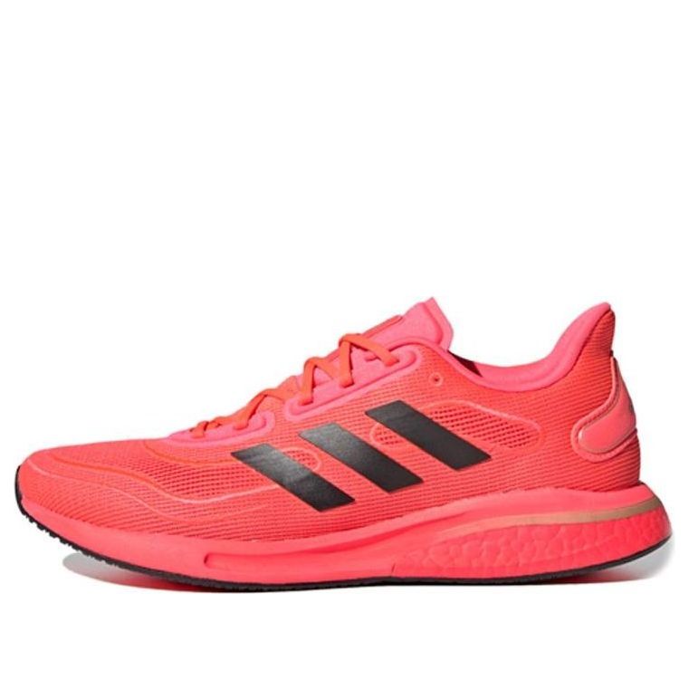 Tennarit ja kengät adidas Performance Supernova Punainen | FV6032