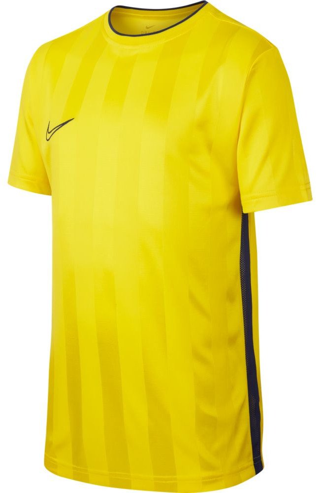 T-paita Nike Nike Academy Top Short Sleeve T-Shirt Keltainen | ao0741-732