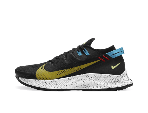 Juoksu Nike Pegasus Trail 2 Musta | ck4305-001