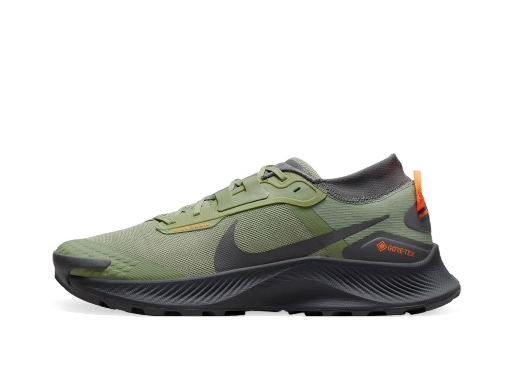 Juoksu Nike Pegasus Trail 3 GTX Vihreä | do6728-300