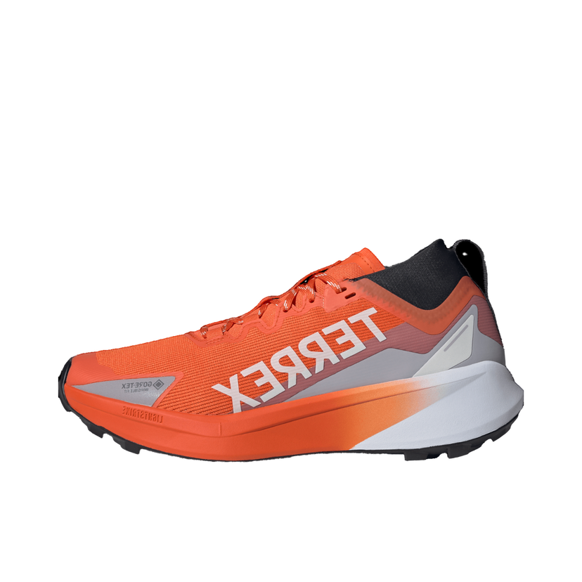 Tennarit ja kengät adidas Performance Terrex Agravic GTX Oranssi | jr5241