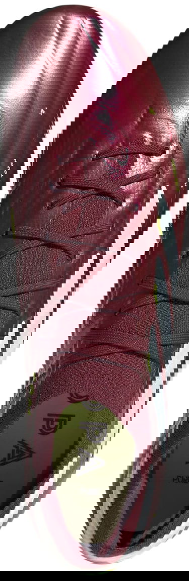 Tennarit ja kengät adidas Performance COPA PURE 2 ELITE KT FG Burgundia | ie7485, 1