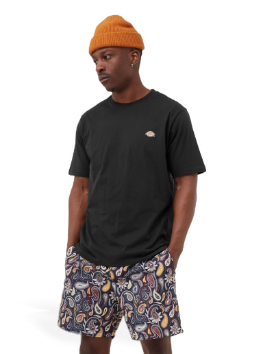 T-paita Dickies MAPLETON TEE Musta | 194903388614