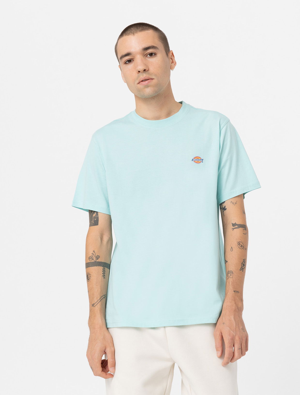 T-paita Dickies Mapleton T-Shirt Turkoosi | 0A4XDB, 0